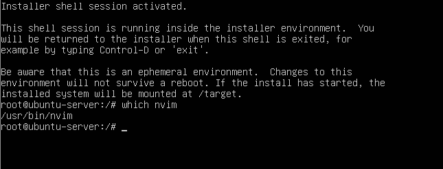 neovim_in_the_installer.png